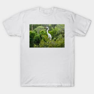 The Kings Great Egret of  Gatorland T-Shirt